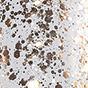 PEGGY SAGE I-LAK FIZZY MILLION 11ML - 191549